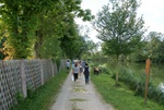 dsc07231.jpg