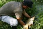 dsc07239.jpg