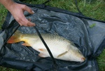 dsc07248.jpg