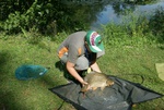 dsc07257.jpg