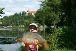 dsc07284.jpg