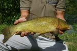 dsc07308.jpg