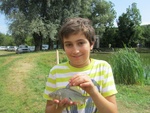 img_6702.jpg