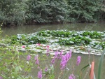 img_6715.jpg