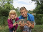 img_6767.jpg