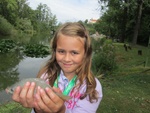 img_6774.jpg