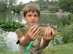 img_6785.jpg
